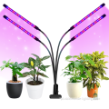 Plantio de flores internas Dimmível LED cresce